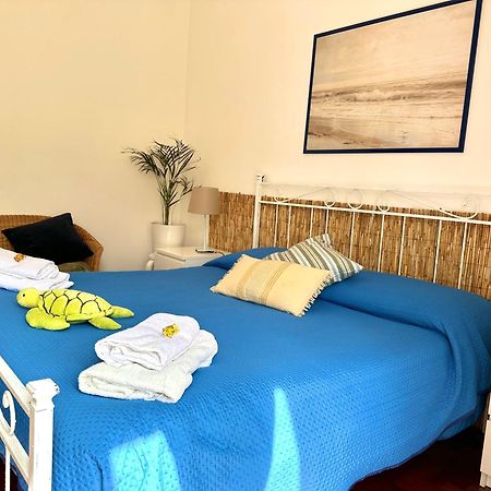 Materdei Apartments نابولي المظهر الخارجي الصورة
